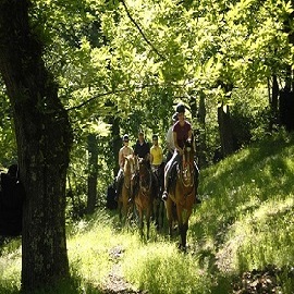 Randonnées à cheval
